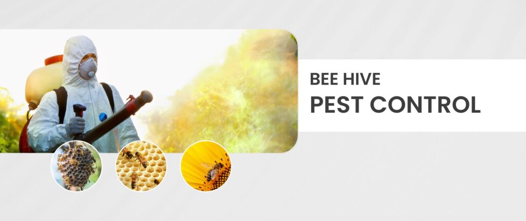 bee-hive-pest-control