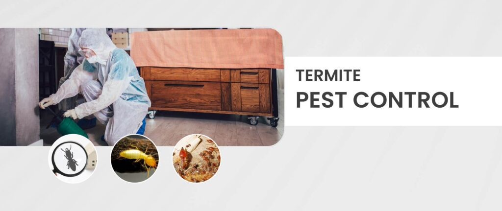 Termite Control & Inspection Services in USA