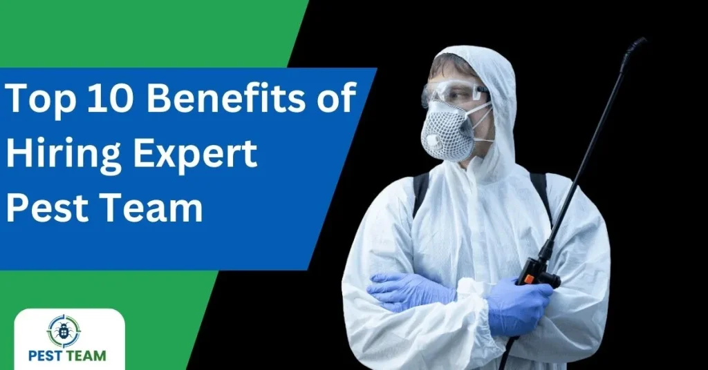 Top 10 Benefits of Hiring Expert Pestteam.us