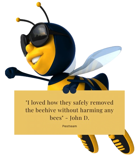 pro-bee-removal