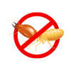 termite Pest control in Texas