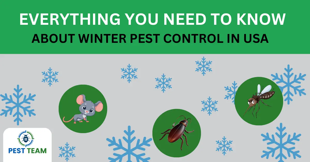 Winter Pest Control in USA : E …