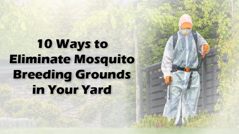 10 Ways to Eliminate Mosquito Breeding Grounds in Your Yard