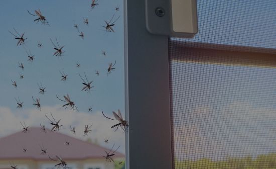 mosquitos pest services in Texas