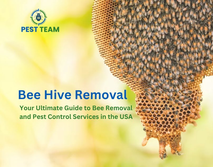 Your Ultimate Guide to Bee Rem …