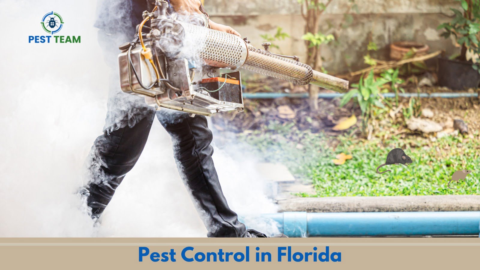 5 Benefits of Regular Pest Con …