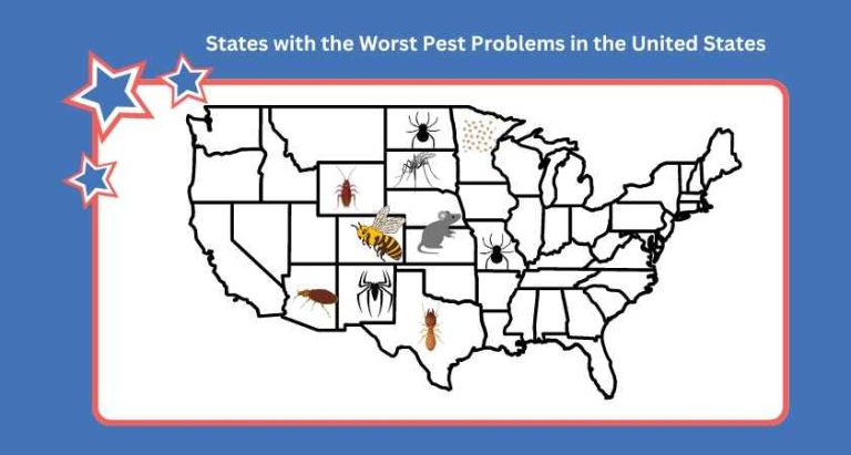 pest problems͏ in usa