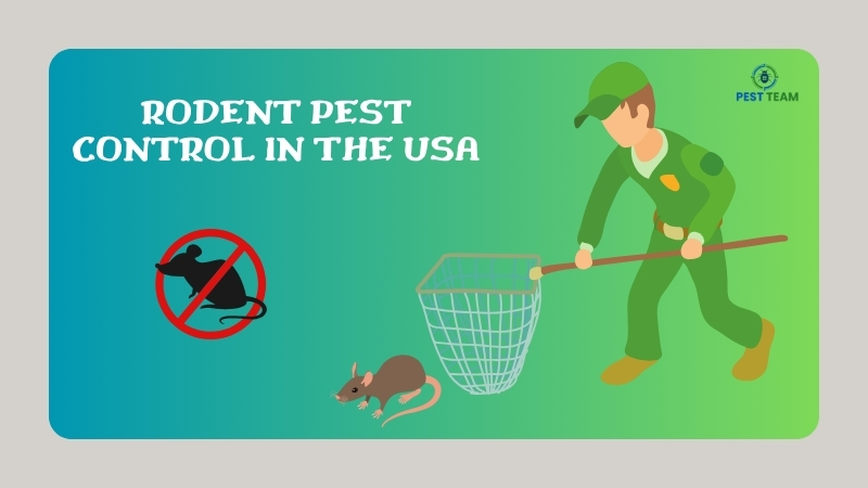 Rodent Pest Control in the USA …