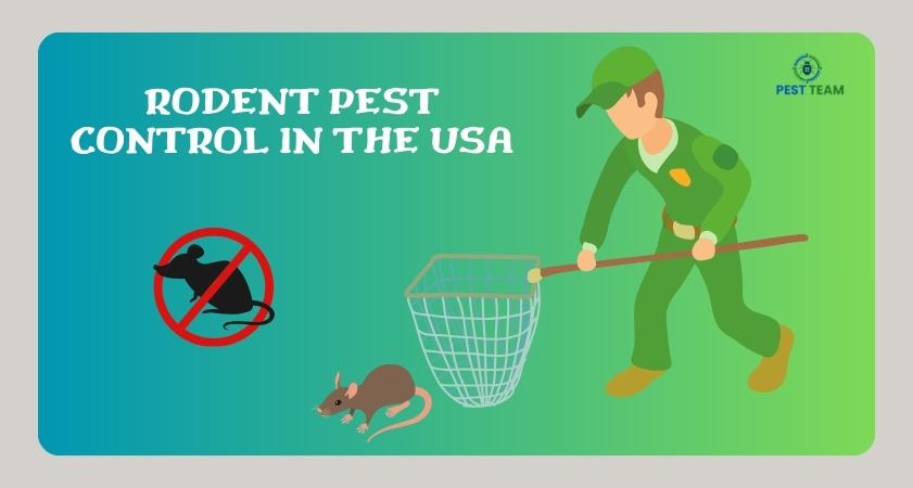 rodent pest control in the usa