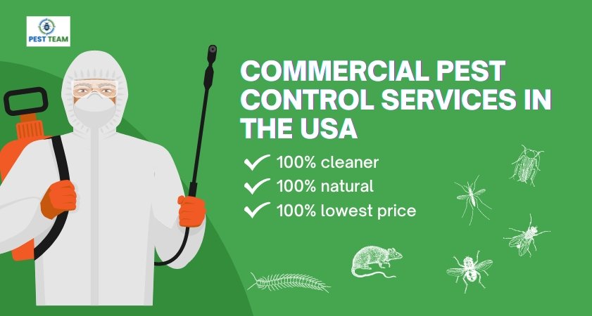 Commercial Pest Control Services