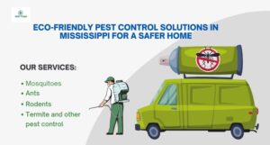 Eco-Friendly Pest Control Solu …